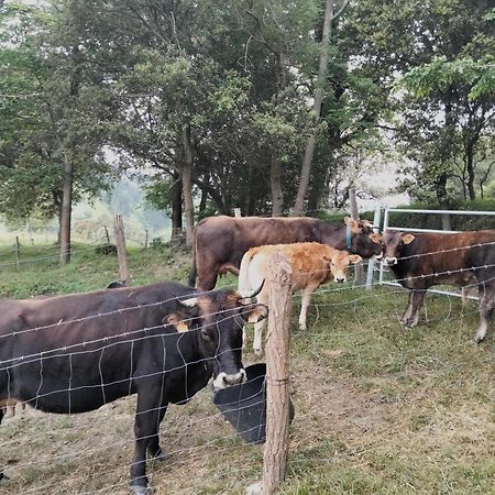 Agroturismo Erlete Goikoa -Estamos En El Camino De Santiago -We Are On The Camino De Santiago Деба Екстер'єр фото