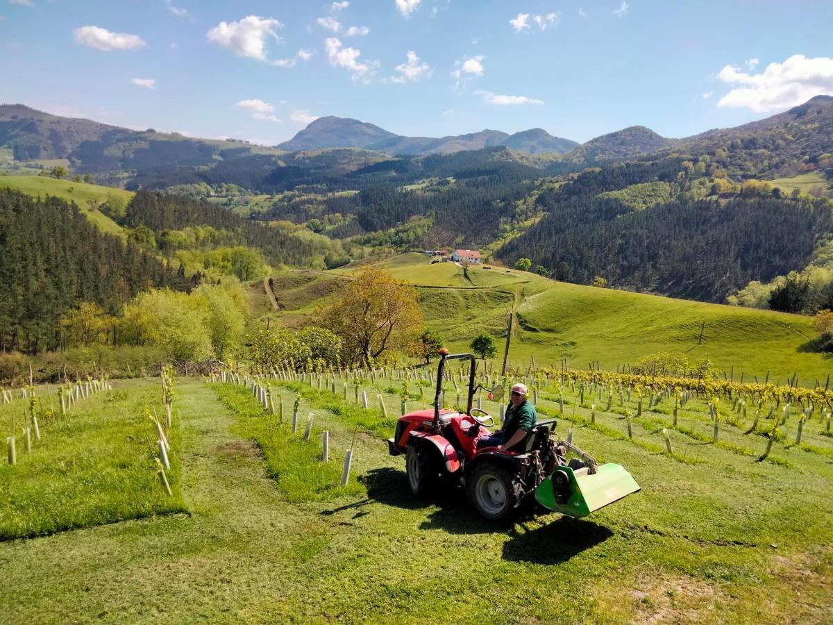 Agroturismo Erlete Goikoa -Estamos En El Camino De Santiago -We Are On The Camino De Santiago Деба Екстер'єр фото