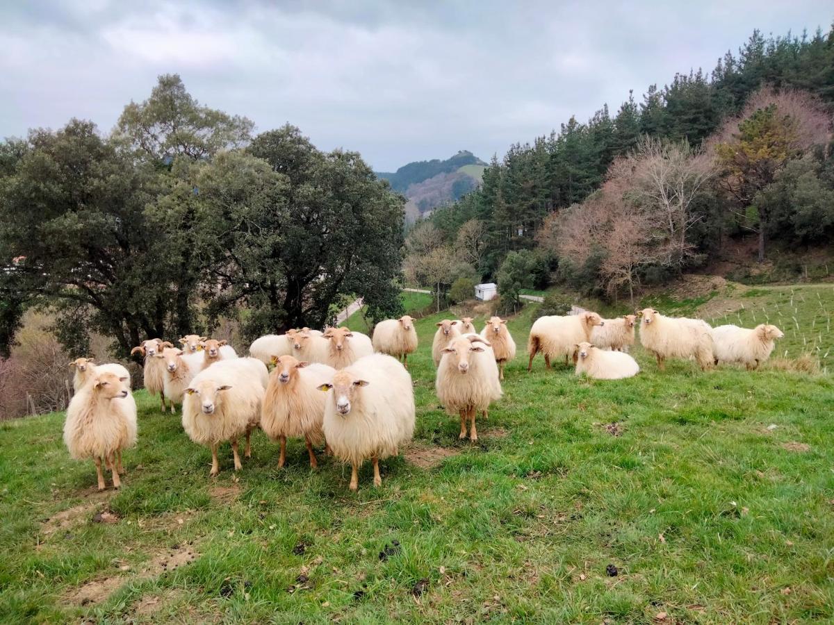 Agroturismo Erlete Goikoa -Estamos En El Camino De Santiago -We Are On The Camino De Santiago Деба Екстер'єр фото