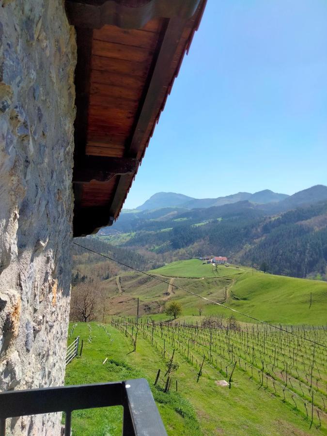 Agroturismo Erlete Goikoa -Estamos En El Camino De Santiago -We Are On The Camino De Santiago Деба Екстер'єр фото