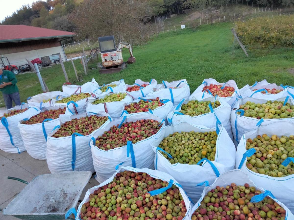 Agroturismo Erlete Goikoa -Estamos En El Camino De Santiago -We Are On The Camino De Santiago Деба Екстер'єр фото