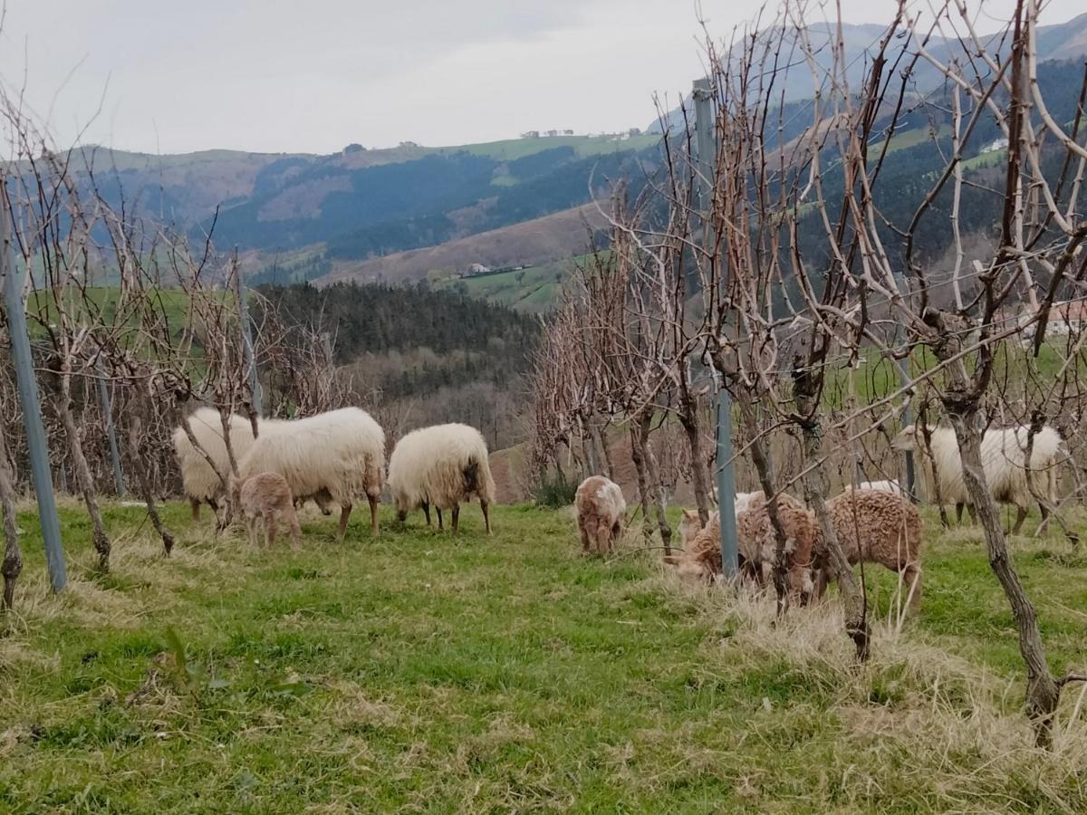 Agroturismo Erlete Goikoa -Estamos En El Camino De Santiago -We Are On The Camino De Santiago Деба Екстер'єр фото