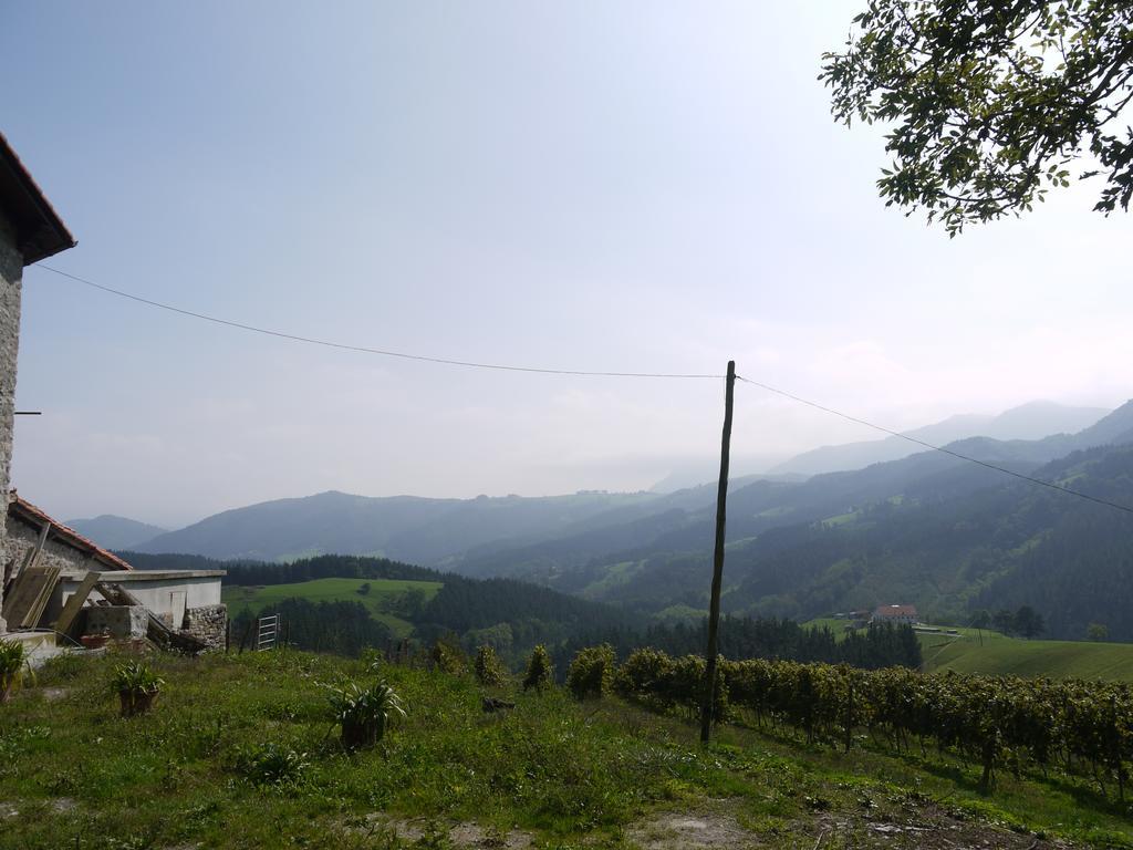 Agroturismo Erlete Goikoa -Estamos En El Camino De Santiago -We Are On The Camino De Santiago Деба Екстер'єр фото
