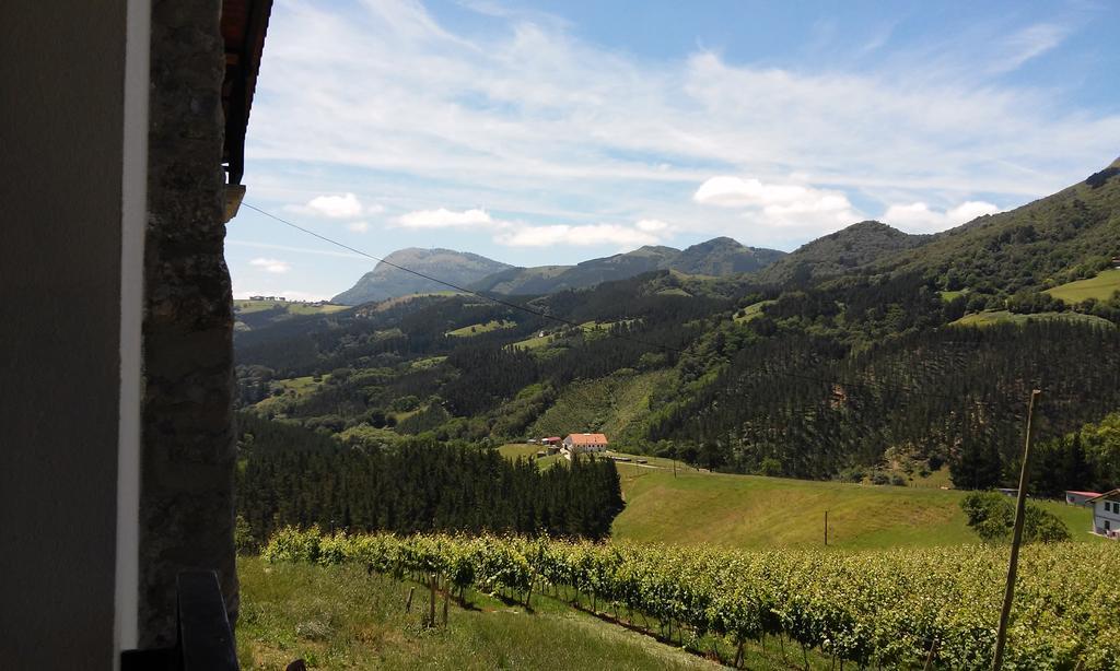 Agroturismo Erlete Goikoa -Estamos En El Camino De Santiago -We Are On The Camino De Santiago Деба Екстер'єр фото