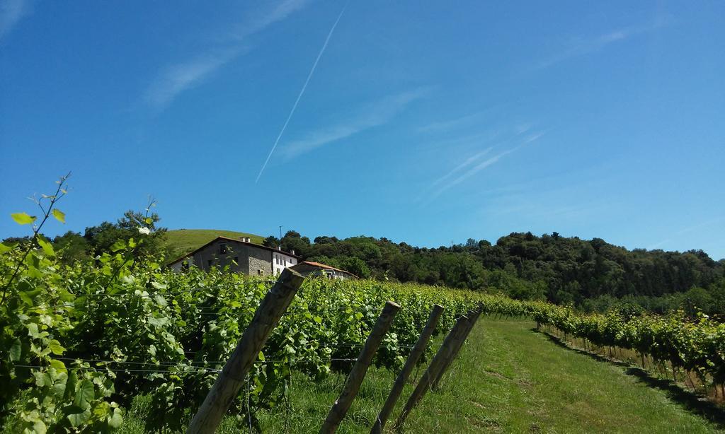 Agroturismo Erlete Goikoa -Estamos En El Camino De Santiago -We Are On The Camino De Santiago Деба Екстер'єр фото