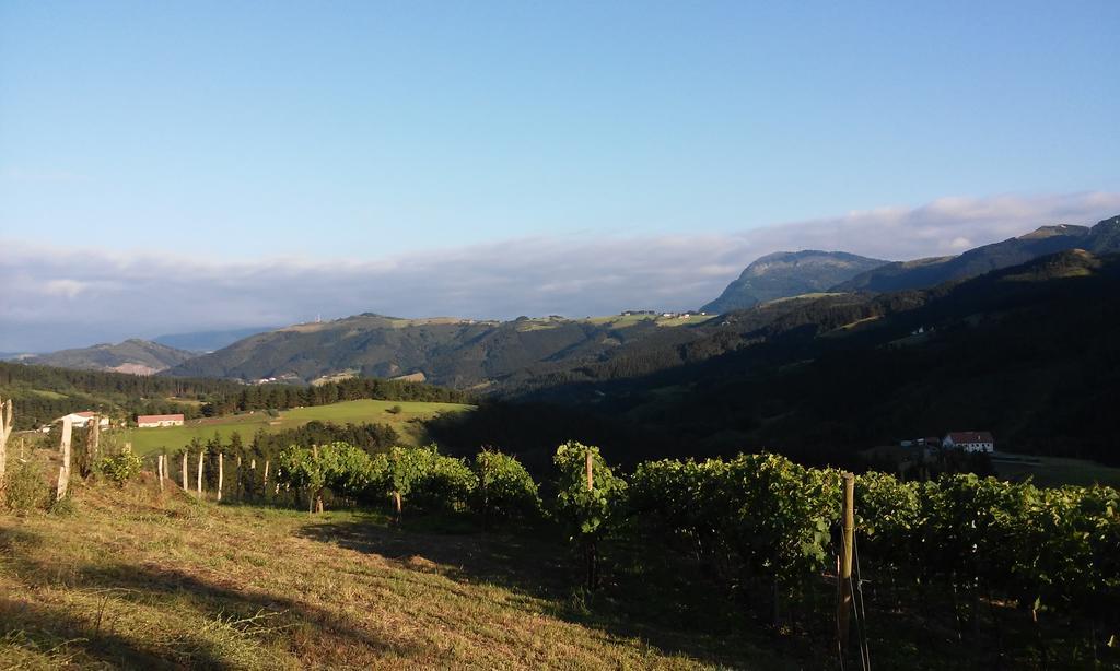 Agroturismo Erlete Goikoa -Estamos En El Camino De Santiago -We Are On The Camino De Santiago Деба Екстер'єр фото
