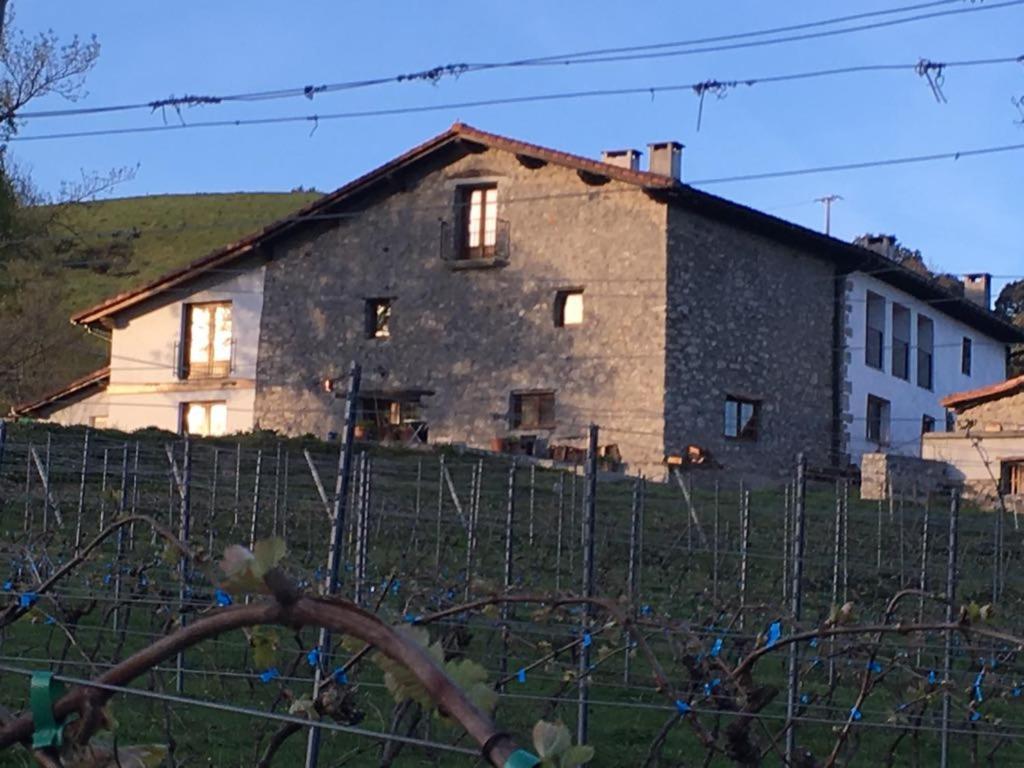 Agroturismo Erlete Goikoa -Estamos En El Camino De Santiago -We Are On The Camino De Santiago Деба Екстер'єр фото
