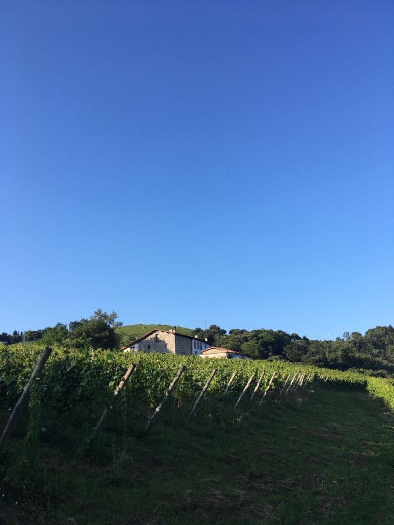 Agroturismo Erlete Goikoa -Estamos En El Camino De Santiago -We Are On The Camino De Santiago Деба Екстер'єр фото