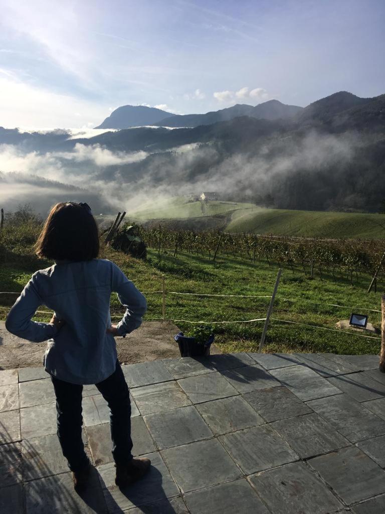 Agroturismo Erlete Goikoa -Estamos En El Camino De Santiago -We Are On The Camino De Santiago Деба Екстер'єр фото