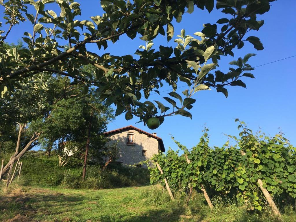 Agroturismo Erlete Goikoa -Estamos En El Camino De Santiago -We Are On The Camino De Santiago Деба Екстер'єр фото